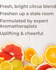 Plant Therapy Citrus Burst Essential Oil Blend - OilyPod