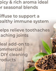 Plant Therapy Clove Bud Essential Oil - OilyPod