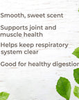 Plant Therapy Copaiba Oleoresin - OilyPod