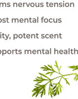 Plant Therapy Davana Essential Oil - OilyPod