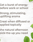 Plant Therapy Energy Essential Oil Blend - OilyPod