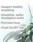 Plant Therapy Eucalyptus Radiata Essential Oil - OilyPod