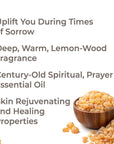 Plant Therapy Frankincense Carterii Essential Oil - OilyPod