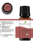 Plant Therapy Frankincense Carterii Organic Essential Oil - OilyPod
