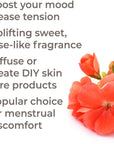 Plant Therapy Geranium Egyptian Organic Essential Oil - OilyPod