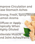 Plant Therapy Ginger Root CO2 Extract - OilyPod