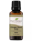 Plant Therapy Ginger Root CO2 Extract - OilyPod