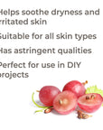 Plant Therapy Grapeseed Carrier Oil - OilyPod