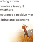 Plant Therapy Happy Place ™ Organic Essential Oil Blend - OilyPod