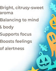 Plant Therapy Hocus Focus KidSafe Essential Oil Blend - OilyPod