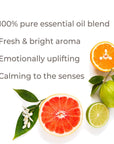Plant Therapy Honeybell Essential Oil Blend - OilyPod