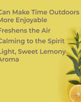 Plant Therapy Lemon Eucalyptus Organic Essential Oil - OilyPod