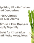 Plant Therapy Lemongrass Essential Oil - OilyPod