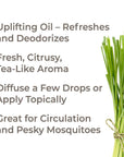 Plant Therapy Lemongrass Organic Essential Oil - OilyPod
