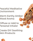 Plant Therapy Myrrh Essential Oil - OilyPod