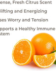 Plant Therapy Orange Essence Oil 10ml - OilyPod