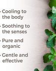 Plant Therapy Peppermint Organic Hydrosol - OilyPod