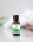 Plant Therapy Peppermint Western US Essential Oil - OilyPod
