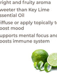 Plant Therapy Persian Lime Essential Oil - OilyPod