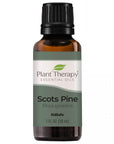 Plant Therapy Pine Scots Essential Oil - OilyPod