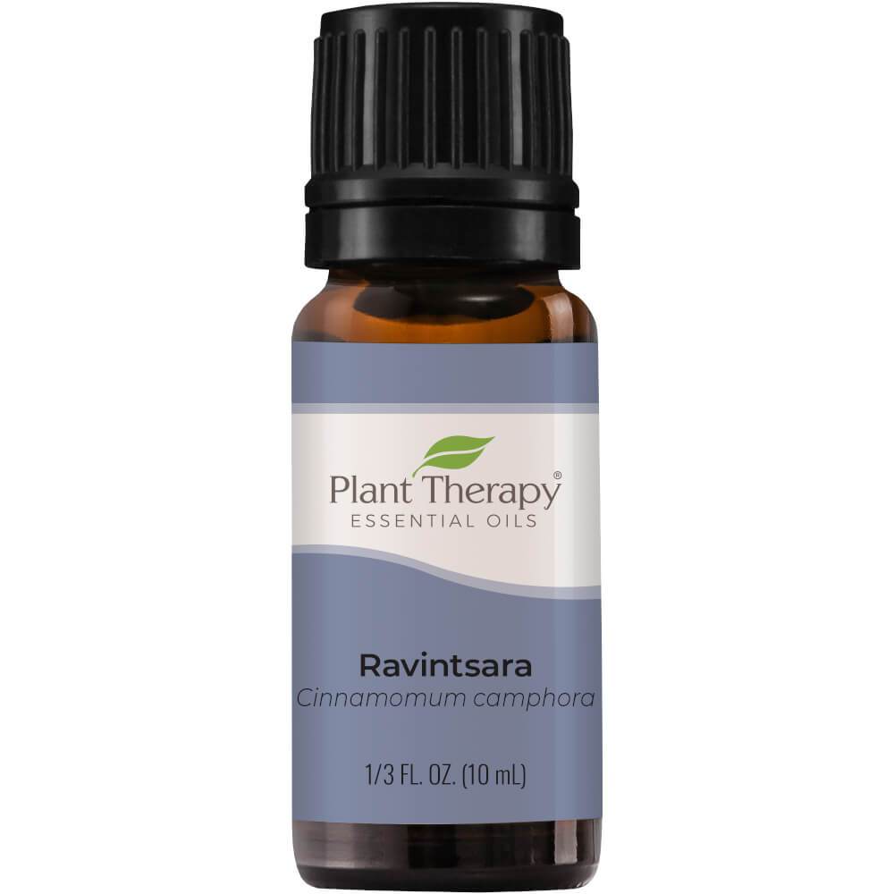 Ravintsara Organic Essential Oil