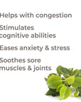 Plant Therapy Ravintsara Essential Oil - OilyPod