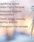 Plant Therapy Spruce Black Essential Oil - OilyPod