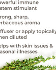 Plant Therapy Thyme Linalool Essential Oil - OilyPod