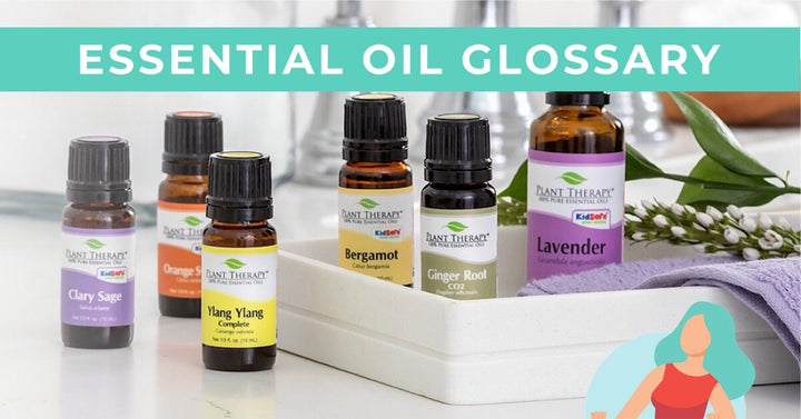 Essential Oil Glossary | OilyPod