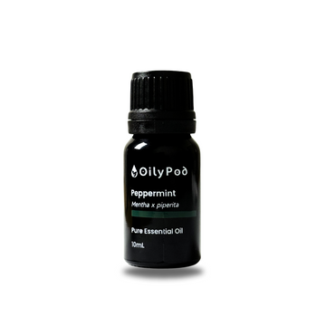 OilyPod Peppermint Essential Oil 10ml - 100% Pure & Natural, Cooling & Invigorating