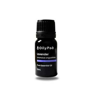 OilyPod Lavender Essential Oil 10ml - 100% Pure & Natural, Calming & Relaxing