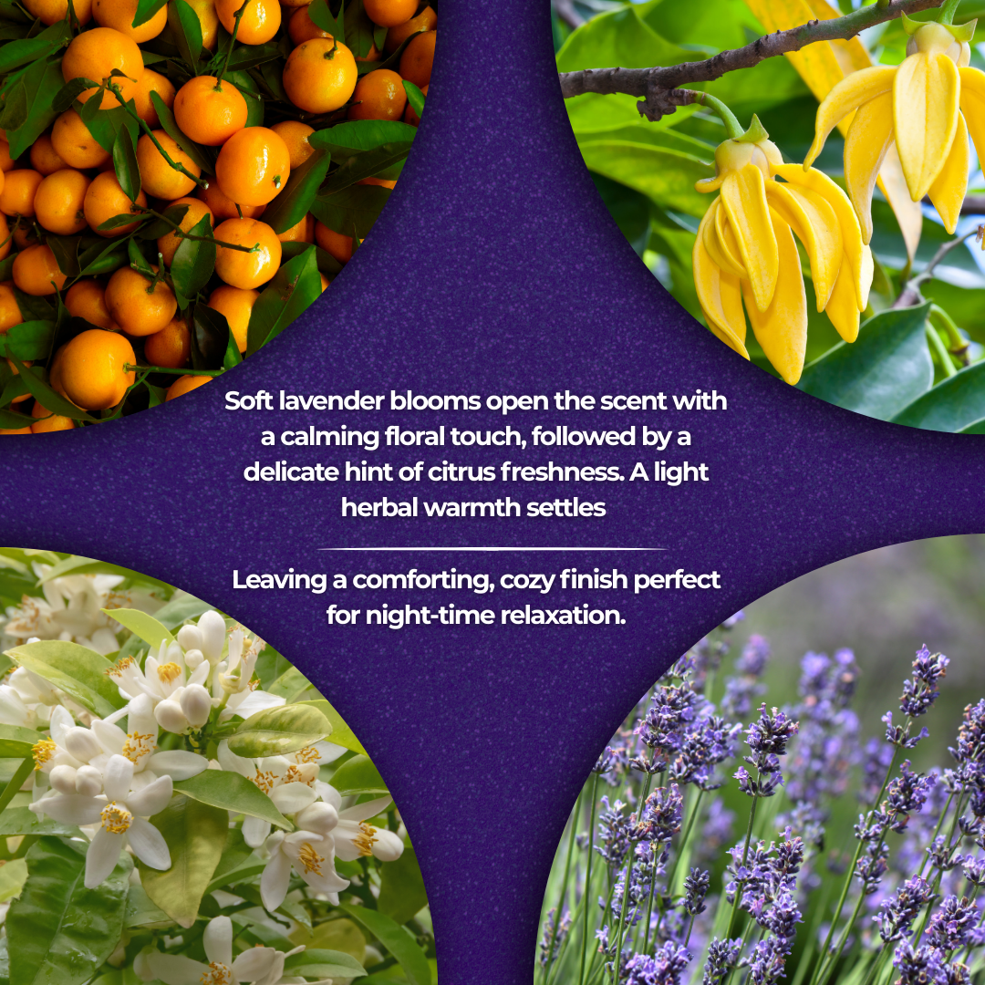 OilyPod Good Night Essential Oil Blend 10ml