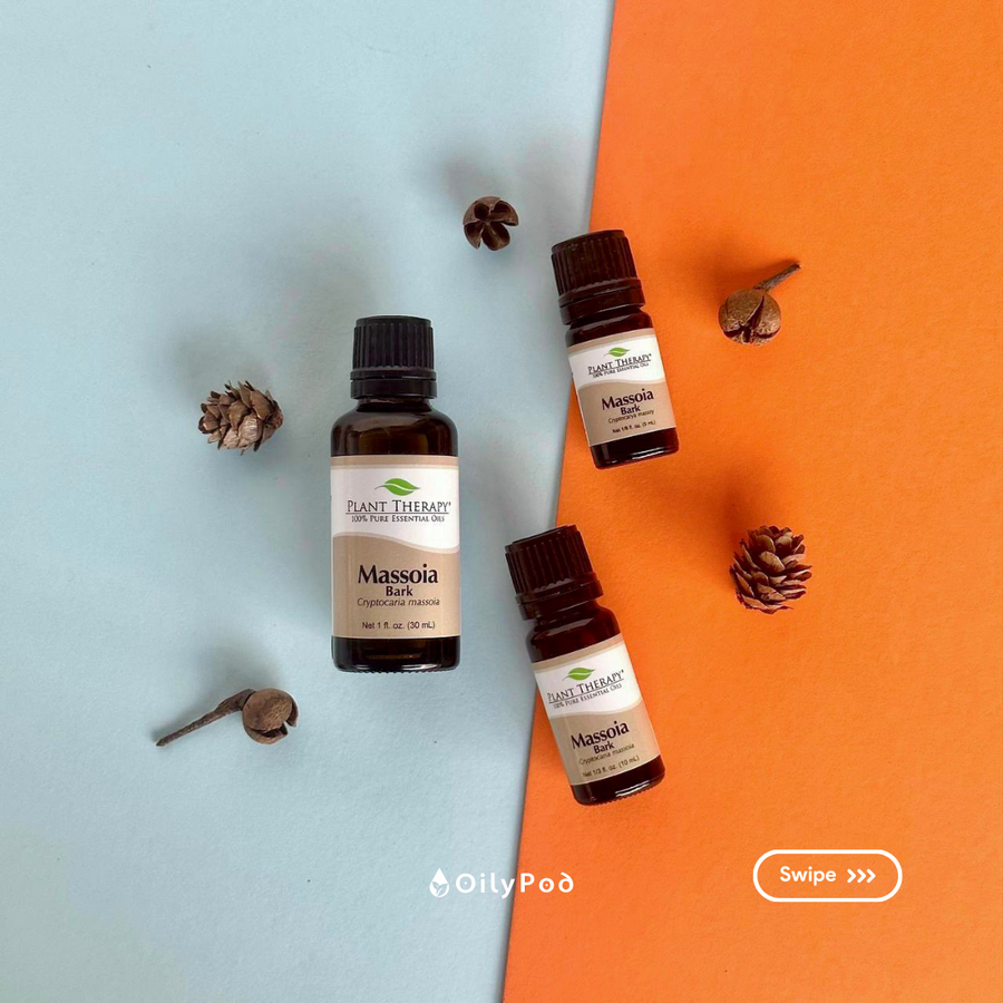 Plant Therapy Massoia Bark Essential Oil