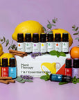 Plant Therapy 7 & 7 Essential Oil Set