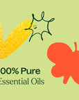 Plant Therapy 7 & 7 Essential Oil Set