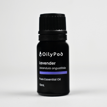 OilyPod Lavender Essential Oil 10ml - 100% Pure & Natural, Calming & Relaxing