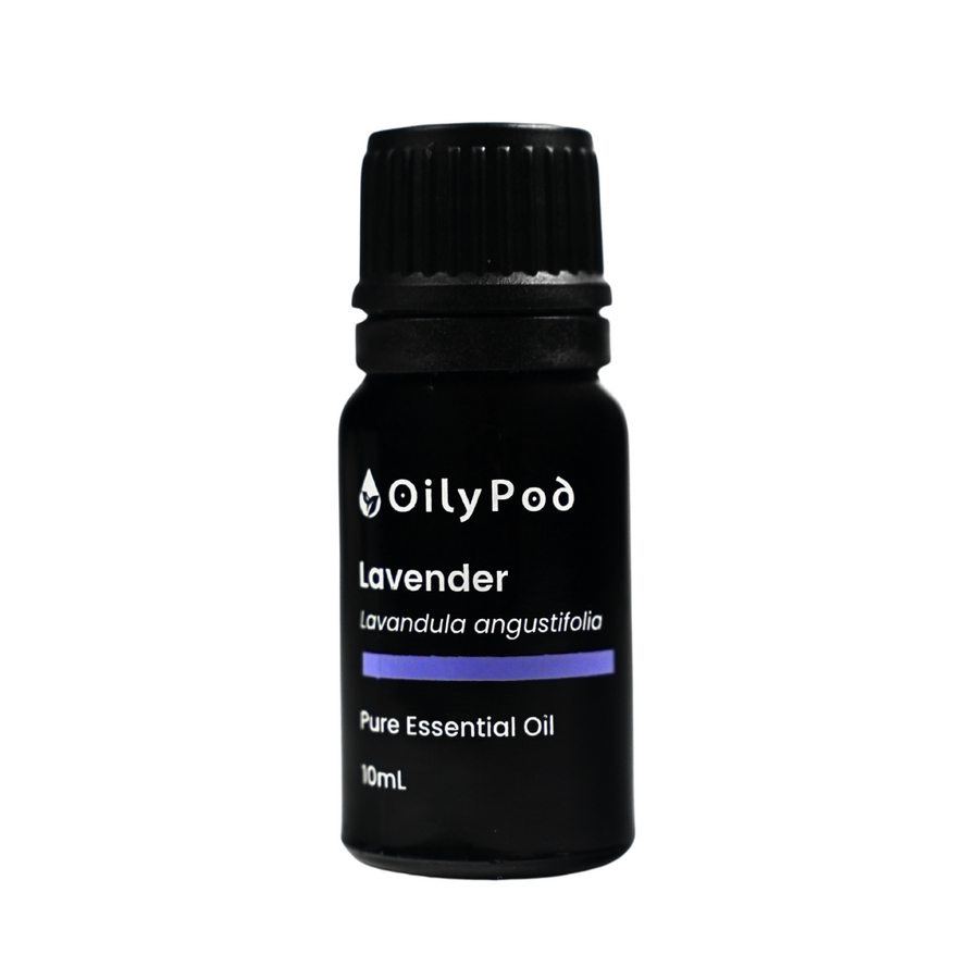 OilyPod Lavender Essential Oil 10ml - 100% Pure & Natural, Calming & Relaxing