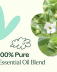Plant Therapy Ache Away Essential Oil Blend