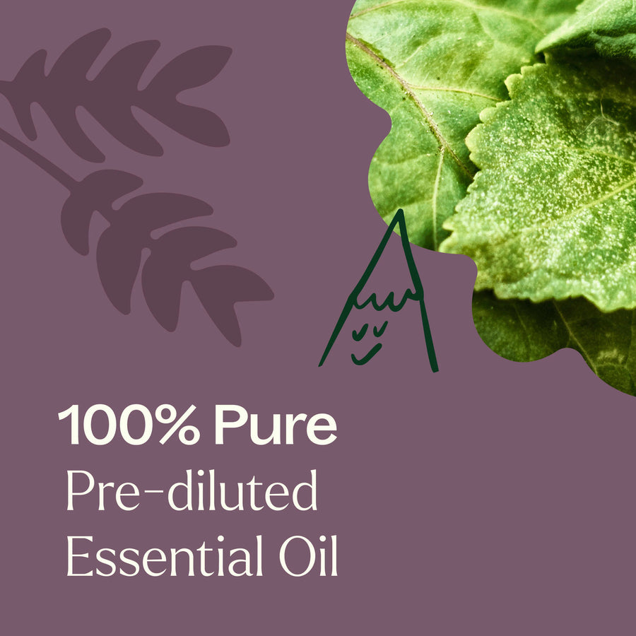 Plant Therapy Aged Dark Patchouli Essential Oil