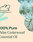 Plant Therapy Cedarwood Atlas Organic Essential Oil