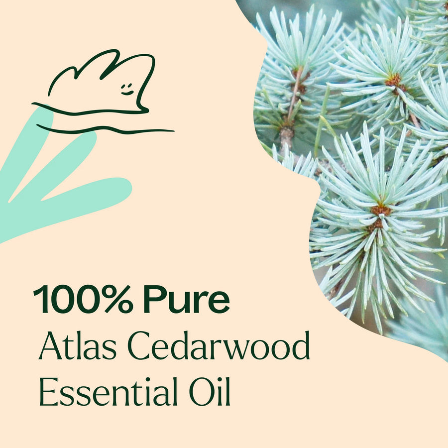 Plant Therapy Cedarwood Atlas Organic Essential Oil