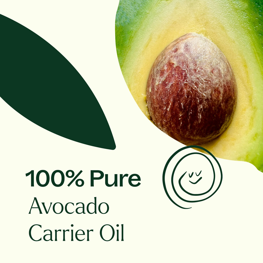 Plant Therapy Avocado Carrier Oil