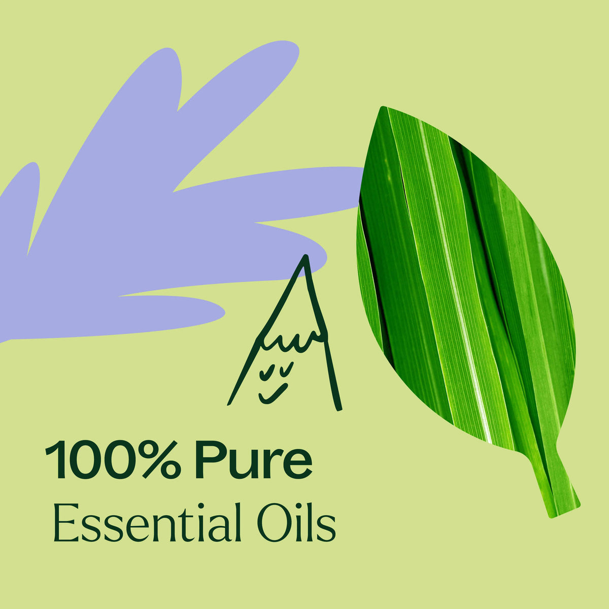 Plant Therapy Balance Essential Oil Blend