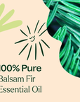 Plant Therapy Balsam Fir Essential Oil