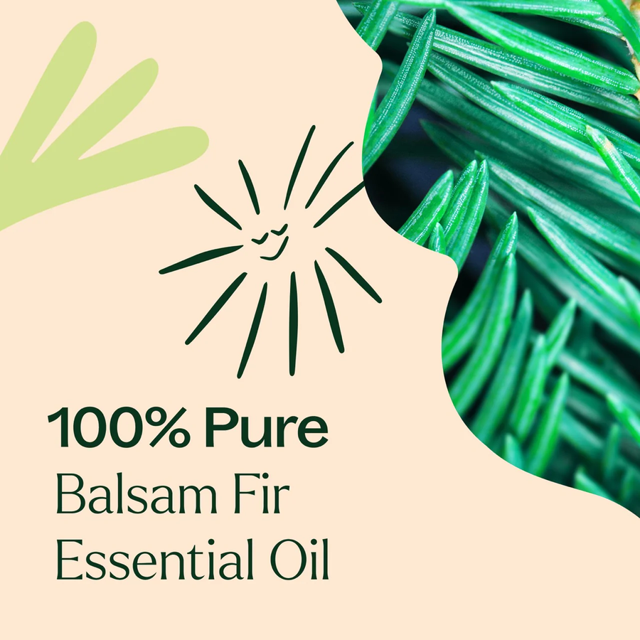 Plant Therapy Balsam Fir Essential Oil