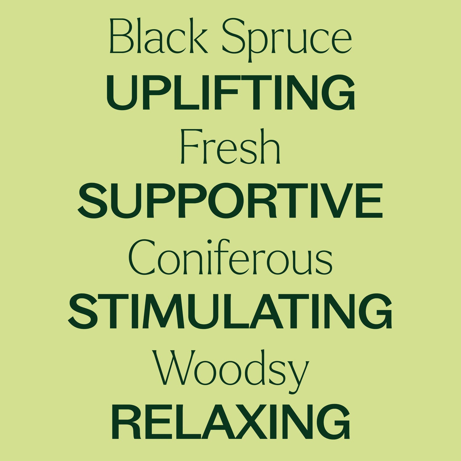 Plant Therapy Spruce Black Essential Oil
