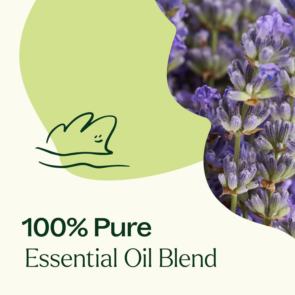 Plant Therapy Blissful Dreams Essential Oil Blend