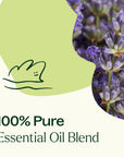 Plant Therapy Blissful Dreams Essential Oil Blend