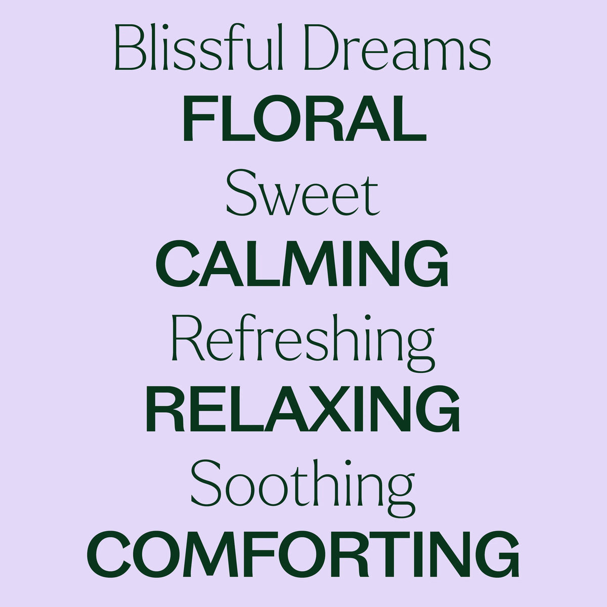 Plant Therapy Blissful Dreams Essential Oil Blend