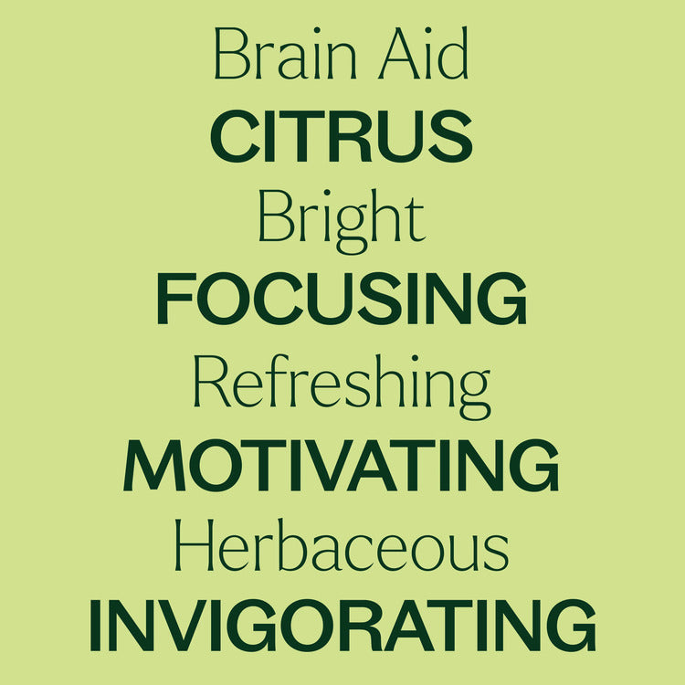 Plant Therapy Brain Aid Essential Oil Blend